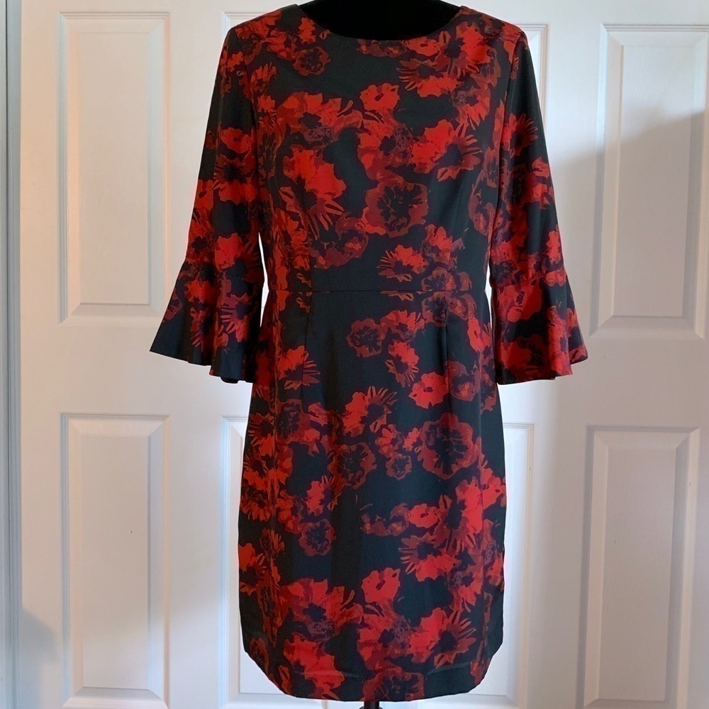 Cynthia Steffe Red and Black Satin Floral Dress